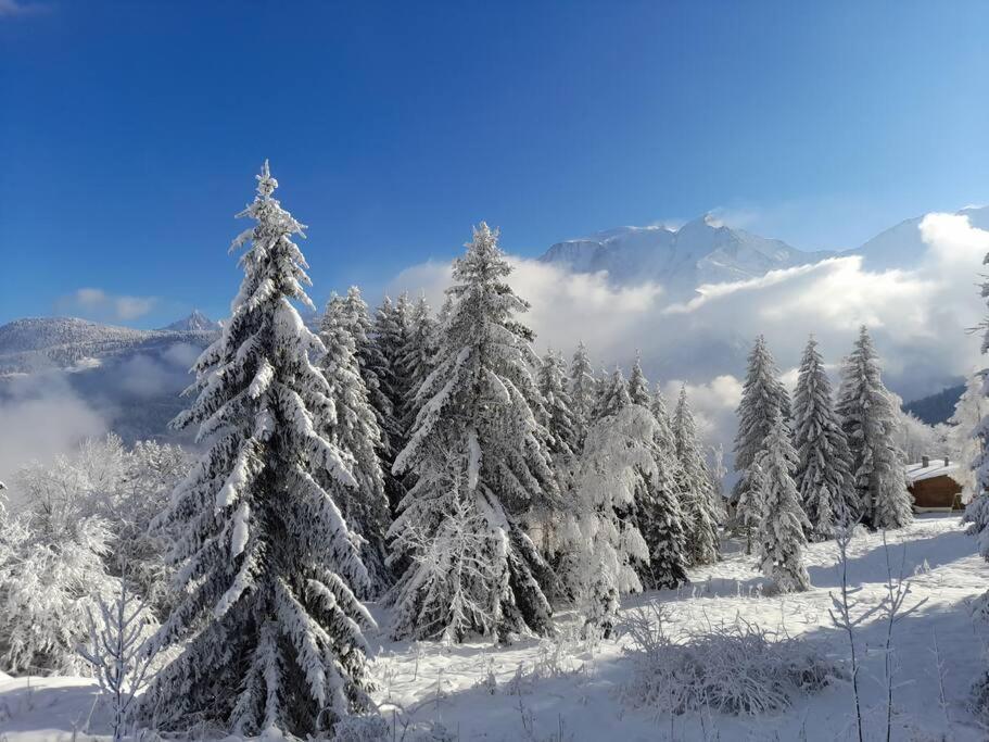Le Cocon Du Bettex 1400 - Cozy Apt Near Mont Blanc Saint-Gervais-les-Bains Esterno foto